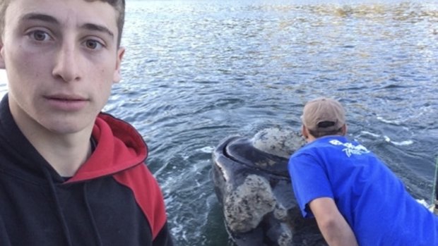 Michael Riggio (left) takes a selfie as Ivan Iskenderian pulls the rubbish from the whale's mouth.