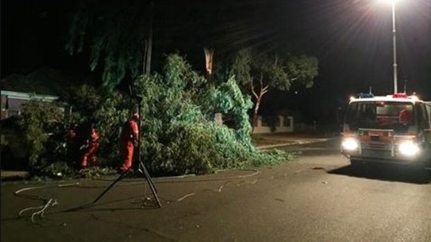 SES crews clean up a felled tree on Patrick Street, Bendigo.