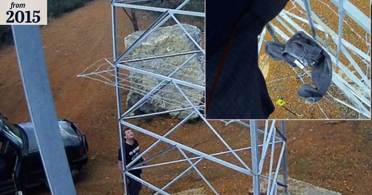 Men try to steal WA security camera that catches them in the act