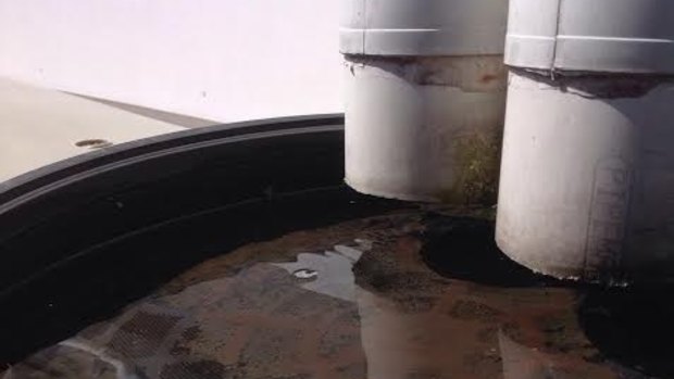 Stagnant water near water tanks is a mosquito breeding ground.