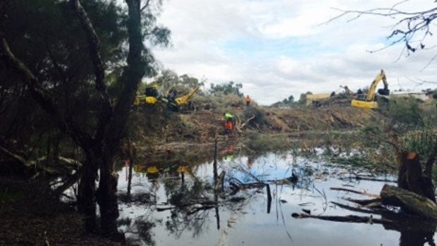 Bulldozers at work near the Eric Singleton Reserve bird sanctuary.