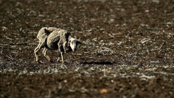 More intense droughts and flooding rains are in prospect as the planet warms up.