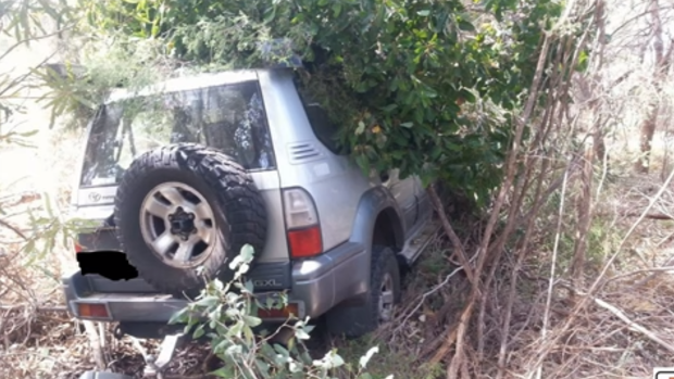 The car ended up in the bushes after the driver fell asleep at the wheel.