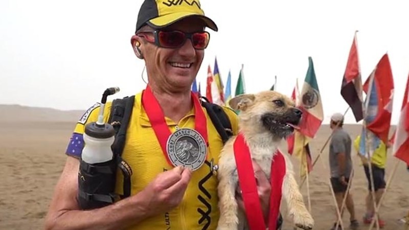 Gobi, the stray dog who followed an Aussie runner for
