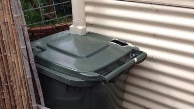 A DIY rainwater storage unit discovered in a Melbourne backyard. It also stores mosquito larvae. 