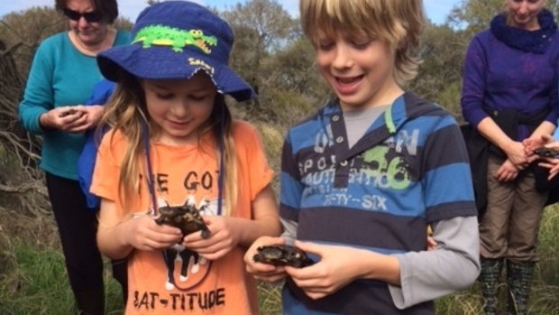Nicola Owen and Riley Peters release western swamp tortoises at Twin Swamps reserve.