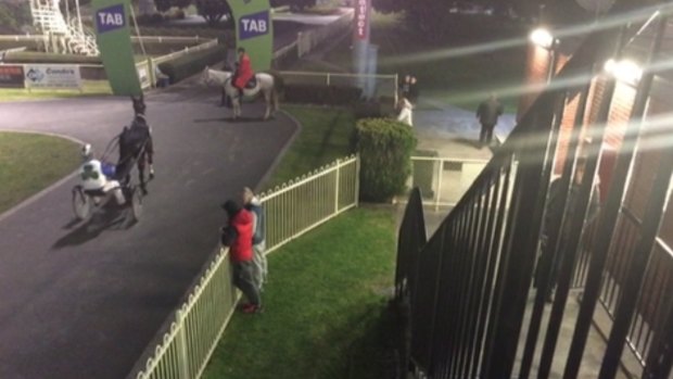 Sequenzia (grey hooded jumper) trackside at Cranbourne.