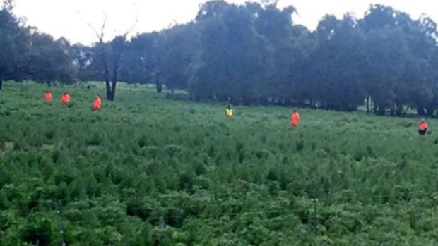SES volunteers searching bush in Upper Swan for signs of missing man Michael Huria
