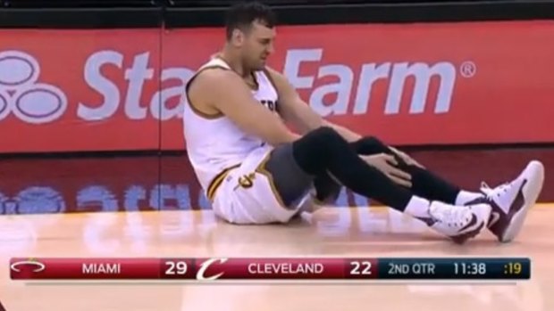 Andrew Bogut clutches his shin.