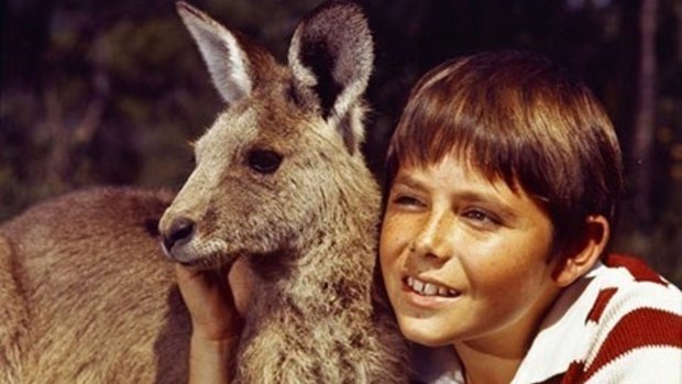 <i>Skippy</i> is history: Cheap overseas animation is replacing quality Australian children's TV programs.