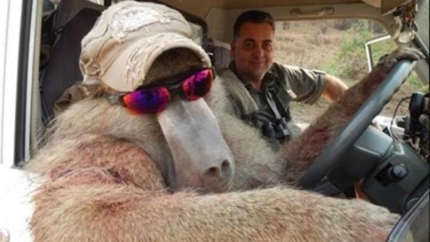 Canberra developer Nick Haridemos posted photos of his time hunting in Africa online.