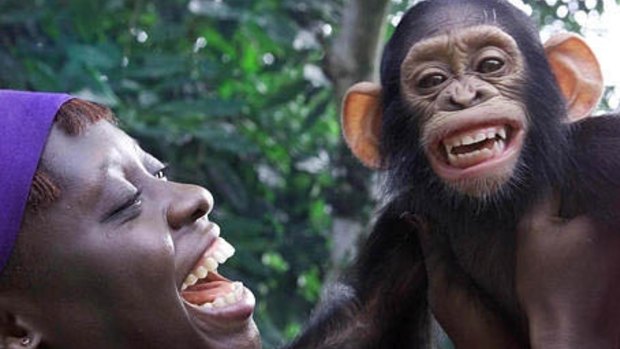 Buster, a baby chimpanzee, offers a smile to Irene Okon Edem a game keeper at the Drill Ranch in Calabar, southeastern Nigeria. 