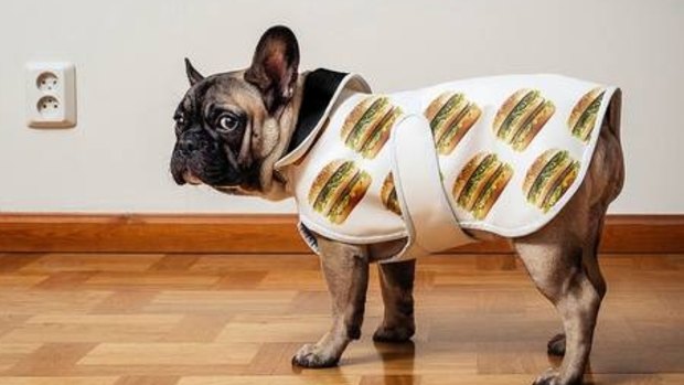 Big Mac dog clothes: "That way you can walk around with a Big Mac every morning, noon and night."