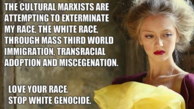 An alt-right meme referencing 'cultural Marxism', a debunked concept that flourishes online. The wording co-opts fears about demographic change in the world today.