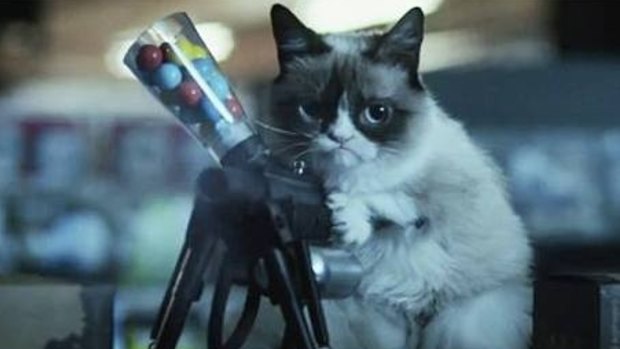 Enjoy a film and pet a kitten at the UK's cat cinema.