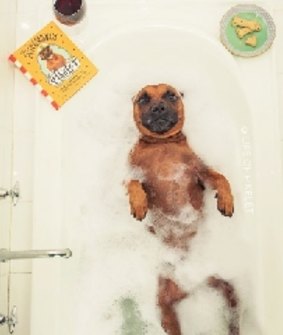 It's hard work being famous: Pikelet relaxes in the bath with his book.