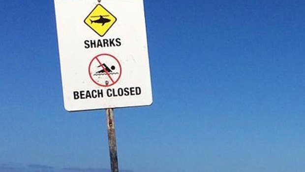 Shark caution has been urged at Myalup beaches after a whale carcass washed up.