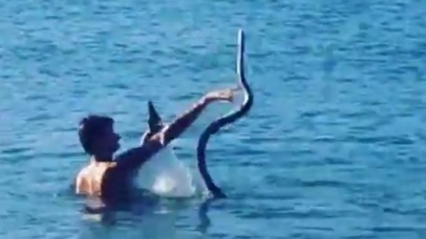A man was filmed throwing a python around at a Gold Coast creek.