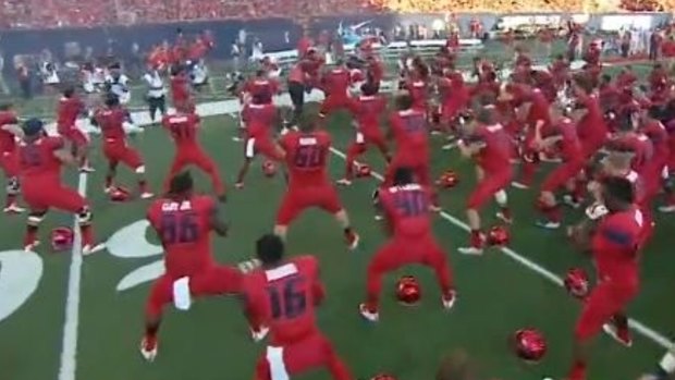 A sight to see: The Arizona Wildcats perform a haka.