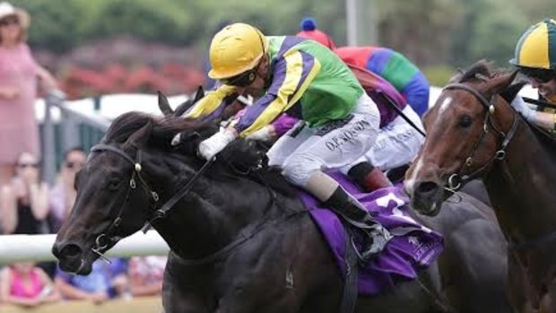 Baker's boy: Dal Cielo shapes as a strong chance in the Sandown Guineas.