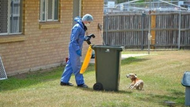 A forensic officer examines the scene of a stabbing death in Gladstone.