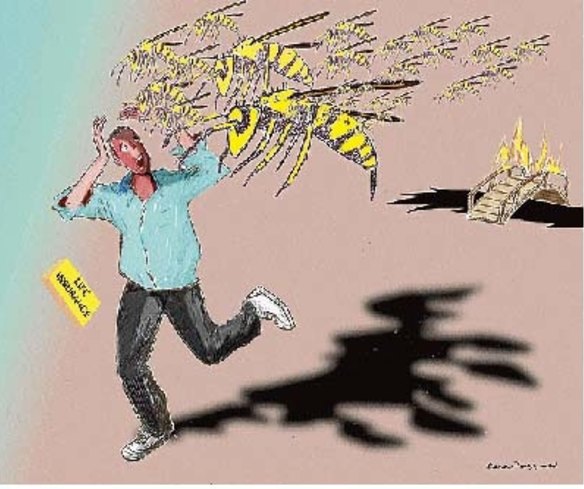 Illustration: Rocco Fazzari 