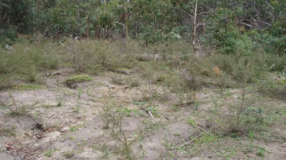 Groundwater levels at Junction Swamp were first identified by consultants in 2004 as becoming "inconsistent" with rainfall. 