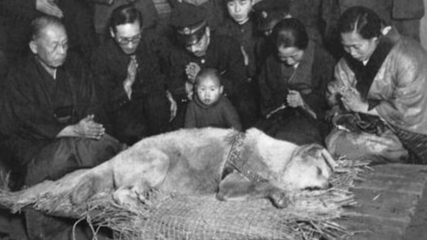 The funeral of Hachiko the faithful dog in Tokyo in 1935.