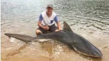 Georges Quick Auto Credit >> Shark caught in Georges River, prompting safety warning Georges Quick Auto Credit >> Shark caught in Georges River, prompting safety warning