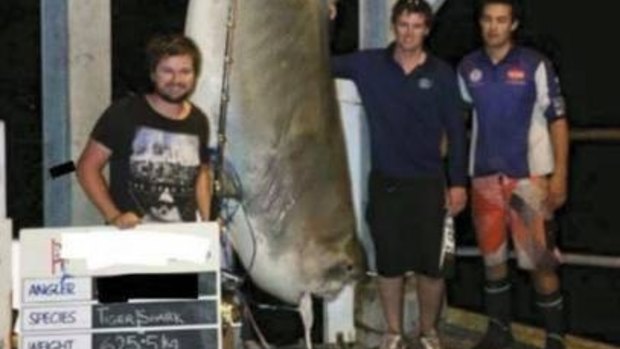 A photograph of the 625.5-kilogram tiger shark caught off Swansea was posted online and put the spotlight back on trophy catches.