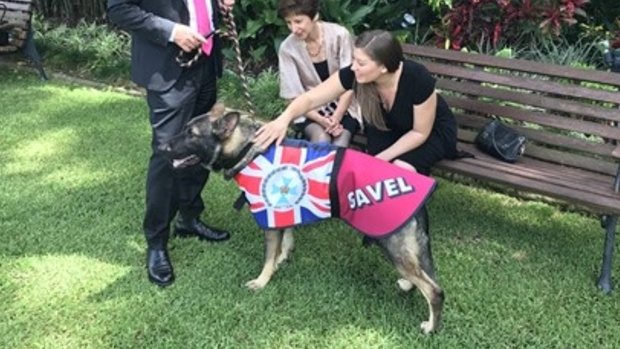 Gavel in his official coat meeting guests.