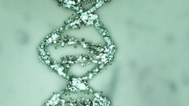 DNA bungles have brought WA's forensic funding into the spotlight. 