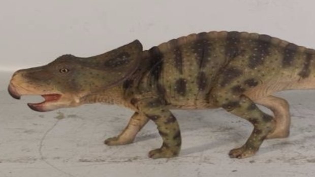 A protoceratops.