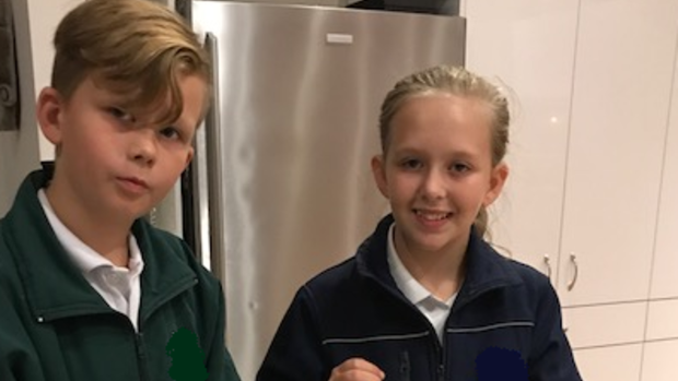 Luke (11) and Hayleigh Smith (12) are missing with police holding serious concerns over their welfare.
