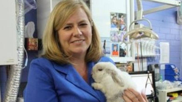 Elizabeth-Jo Willot Vickridge specialises in household rabbits. 