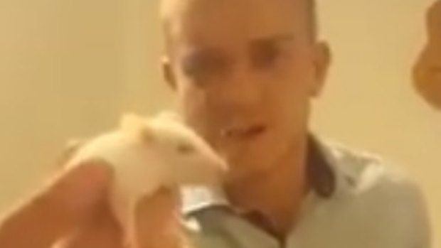 Matt Maloney allegedly bit the head off a live rat in a Facebook video posted on Tuesday.