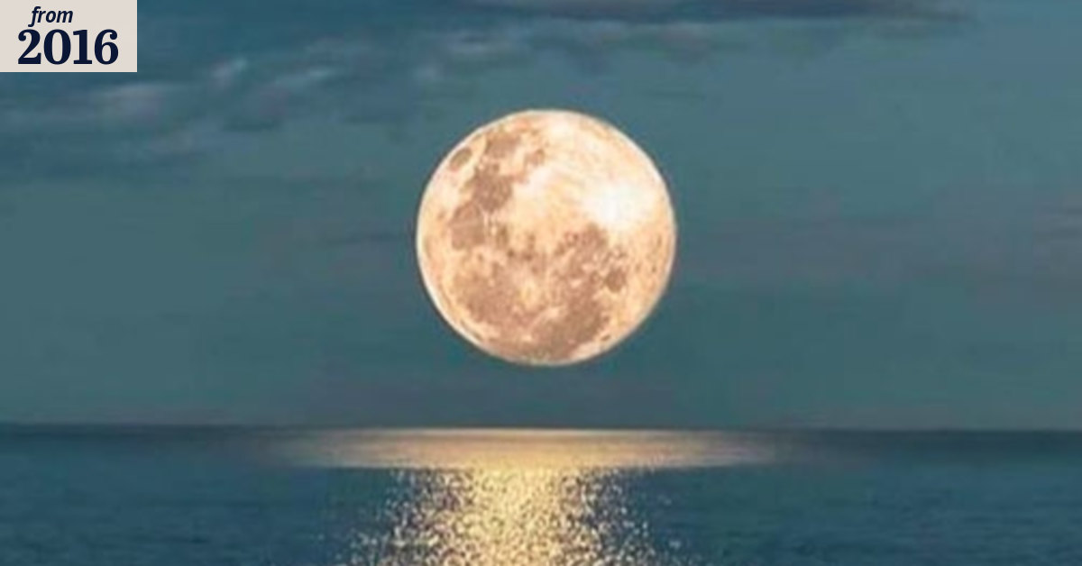 Pesky Perth supermoon to steal the limelight from meteor shower