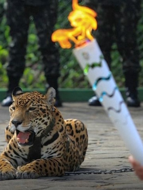 The jaguar and the torch