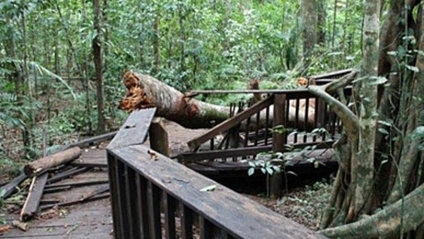 The Cathedral Fig Boardwalk in Far North Qld has been closed after being damaged.