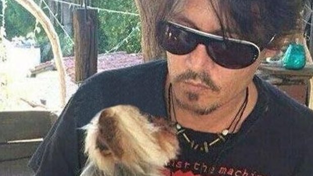 Johnny Depp with one of his dogs.