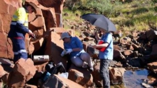 CSIRO field staff taking colour data using the CM-700d on the Burrup Peninsula, as published in a CSIRO report. 