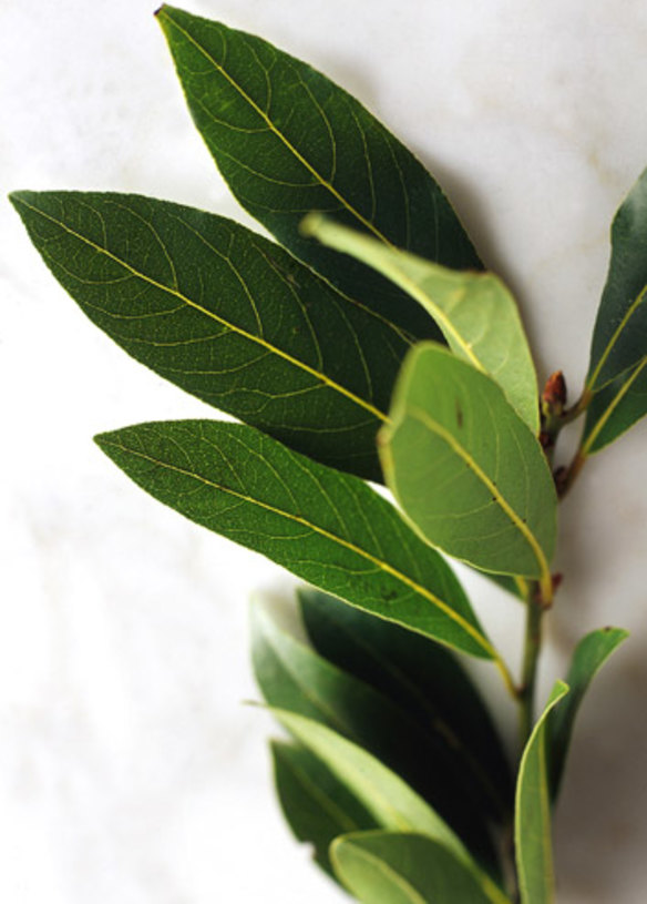 Magnetic spice tins to stick to the side of your refrigerator are better for whole spices, like bay leaves.