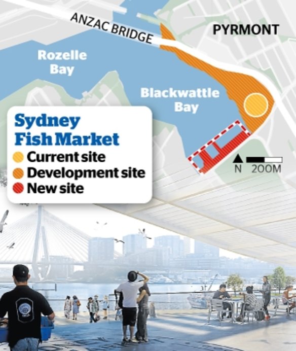 The Sydney Fish Market is relocating to a site adjacent to its current position backing on to Wentworth Park. 