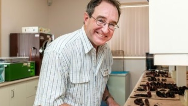 Dr Tim O'Hare will lead a team on a new $10 million project to find new superfoods.