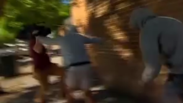 A camera man is knocked into a tree as the teenagers race past.