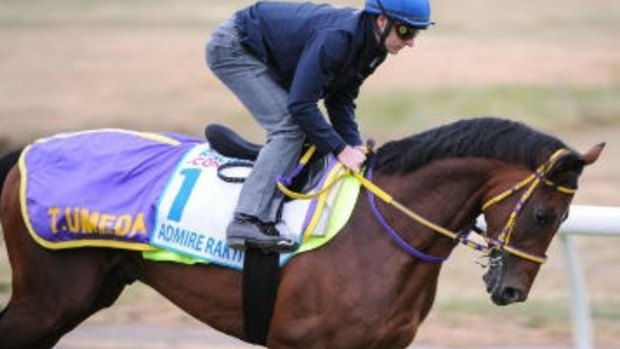 Admire Rakti collapsed and died in his stall after the 2014 race.