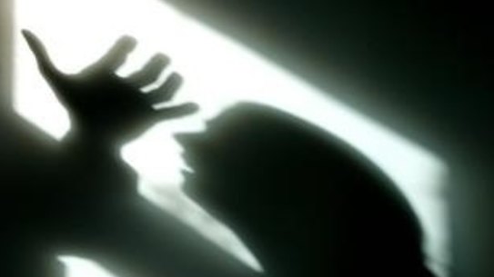 The Sydney Anglican Synod voted unanimously to apologise to victims of domestic abuse in their ranks for failing to support and protect them.