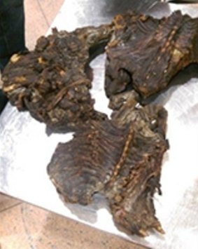 Operation Opson V also confiscated several kilograms of illicit monkey meat at Brussels airport.