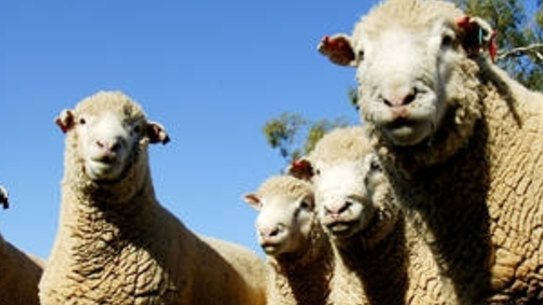 There might be a seasonal correlation between heat and animal welfare.