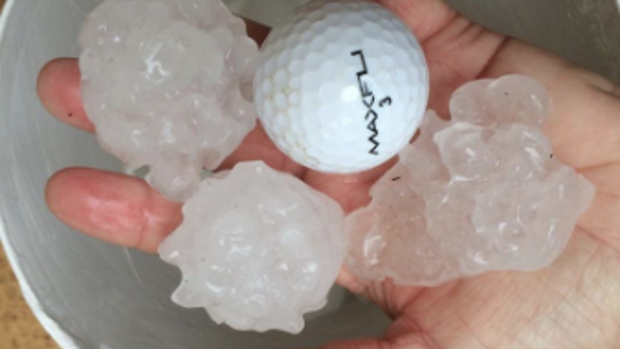 Large hail that fell on the Central Coast of NSW.